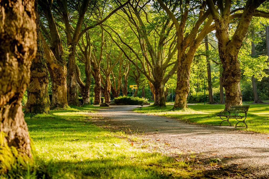 Chateau Du Bois-Guy Golf Parigné المظهر الخارجي الصورة